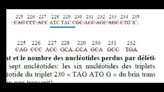Exercice/ examen nationale 2017/expression de l'information g&eacute;n&eacute;tique/ mutation de d&eacute;l&eacute;tion 
