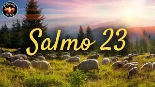 Leitura do Salmo 23 | O Caminho da Luz #ocdl #salmo23 #ocaminhodaluz
