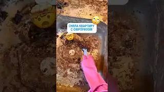 Артикулы WB: #WW269827 анти-жир #WW270091  анти-известь #WW270138 набор 2в1