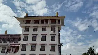 དཔལ་ལྡན་འབྲས་སྤུངས་སུ་གནལ་མཇལ་སོང་བའི་བརྙན། 13 January 2026