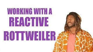 WORKING WITH A REACTIVE ROTTWEILER