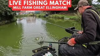 Live Fishing Match Mill Farm Great Ellingham NR17 1LE,  #matchfishinguk