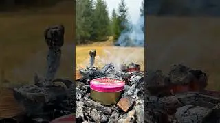 SURVIVAL Skills: This Reusable Fire Starter Never Fails! 🔥 #survival #camping #bushcraft