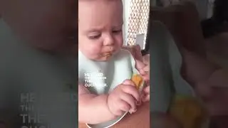Mealtime Made Easy For Your Baby With These Delicious Organic Recipes