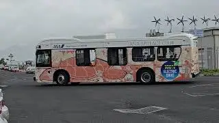 ANA Mileage CLUB Bus...#shortvideo