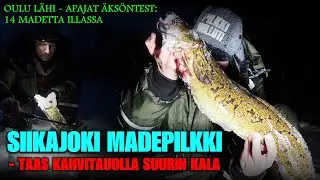 SIIKAJOKI MADEPILKKI - Aina S&auml;k&auml;ll&auml; Isot Kalat! ( Pilkint&auml; - Ice Fishing - Burbot - Pilkkihullut! )