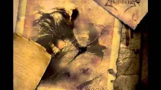 Equilibrium Wurzelbert