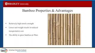 Flexural Behavior of Bamboo-Reinforced Sulfur Concrete Beams for Planetary Applications