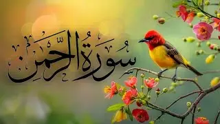 Surah Rehman| Most Beautiful And Heart Touching Voice Of Surah Rehman| AR RAHMAN | Quran For Sleep 