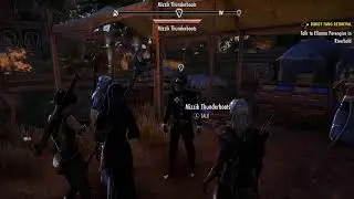 The Elder Scrolls Online Elsweyr Early Access Launch Stream