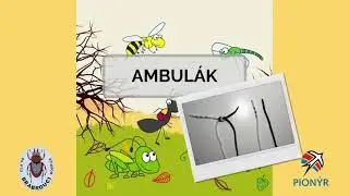 Ploch&aacute; spojka (Ambul&aacute;k)