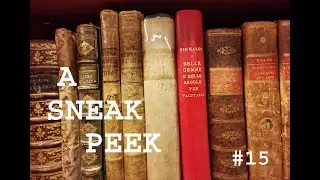 An Inside Look at Some Members Private Book Collection