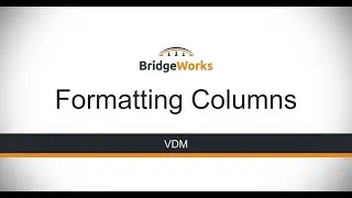 VDM - Formatting Columns