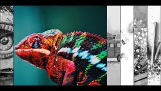 CSS | Full screen Slide show using HTML & CSS