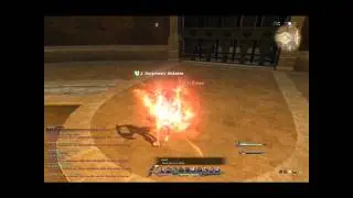 Gladiator Arena.wmv