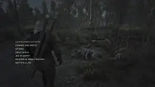 Witcher 3 REC TEST