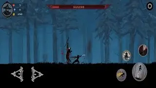 Ninja Arashi 2 | Level 20 | In 1 minute | without dying