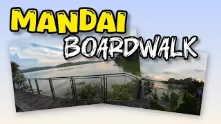  Mandai Boardwalk - Mushollah - Family Hike