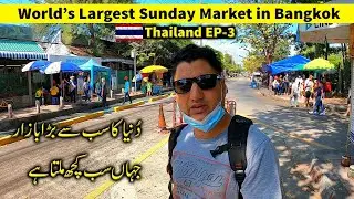 Chatuchak World's Largest Sunday Market in Bangkok | Thailand EP-3