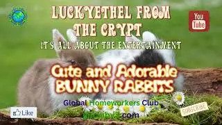 LuckyEthel from the CRYPT: Cute and Adorable Bunny Rabbits