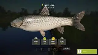 Russian Fishing 4 | Trophy Grass Carp 29.561kg | Bear Lake