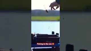 Feeder fishing on a warm sunny day&hellip;anything better? #fishing #matchfishing #feederfishing