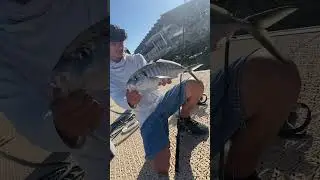 ￼￼Crazy day will Riley
