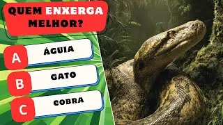 🔥 Se você acertar 20/30, você é acima da média