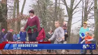 UT Arboretum in Oak Ridge