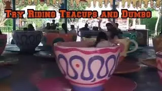 Cup and Saucer and Flying Dumbo rides