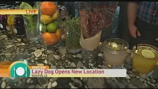 New Lazy Dog Opens