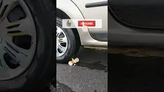 Crushing Crunchy & Soft Things by Car Compilation | Experiment Car vs Tomato , Shampoo , Pepper . ..
