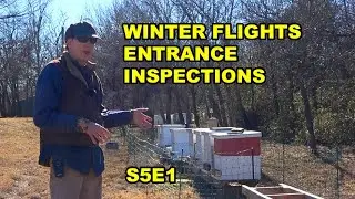 Winter Fly Day - Bee Hive Winter Entrance Inspection S5E1 #beekeeping