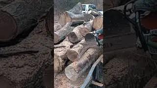 ported stihl ms661c