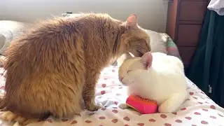 Ru + Pudge = Cat ❤️