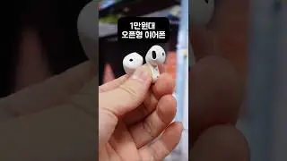 Clear sound open-type earphones in the 10,000 won range