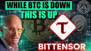 The TAO of Bitcoin Non-Dominance, Bittensor + More XRP, XLM delays, DDE first?