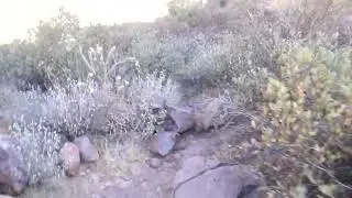 Hieroglyphic Canyon