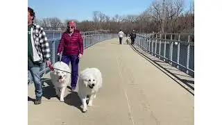 (Complete Version) Walking Gray&rsquo;s Lake Park Bridge (Kruidenier Trail Bridge)