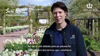 V&aring;rflorsguidning p&aring; Sofiero