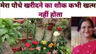 My Winter Plants Shopping Haul 2026/जाड़ो मे अपने बगीचे मे लगाना ना भूले यह सुन्दर पौधे 