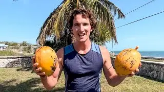 HOW TO CLIMB A COCONUT TREE 🌴🥥