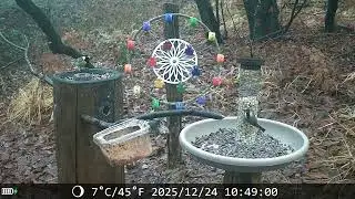 20251224 POSATOIO - BIRD FEEDER