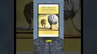 #shorts | The INCREDIBLE Science of How Your Brain Creates Reality (Must Watch)