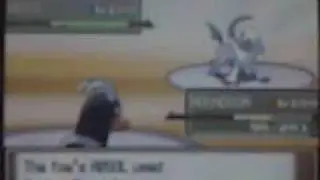 pokemon wi-fi battle 1