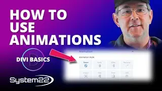 How To Use Animations With The Divi Theme 👍👍