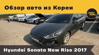 ОБЗОР HYNDAI SONATA NEW RISE 2017 с КОРЕИ. Как мы подбираем автомобили клиентам. Авто из Кореи.