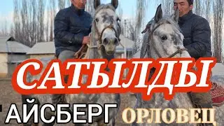 АЙСБЕРГ СЫНДУУ АТТЫН БИРИ