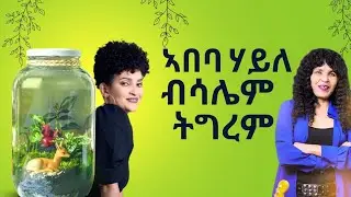 ኣበባ ሃይለ ብናይ ሳሌም ድምጺ ዝተግረመትሉ ግዜ 2025 NEW 
