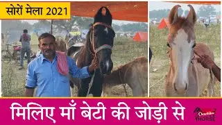 मिलिए मॉं बेटी की जोड़ी से || Soron Horse Mela 2021 (Kasganj,UP)